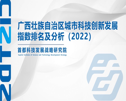 大鸡巴操烂嫩穴在线观看【成果发布】广西壮族自治区城市科技创新发展指数排名及分析（2022）